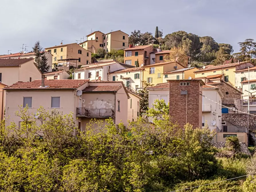 Immagine 21 di Appartamento in vendita  a Pomarance