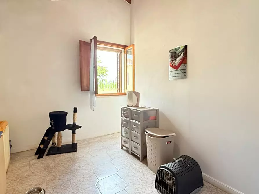 Immagine 15 di Terratetto in vendita  a Fucecchio