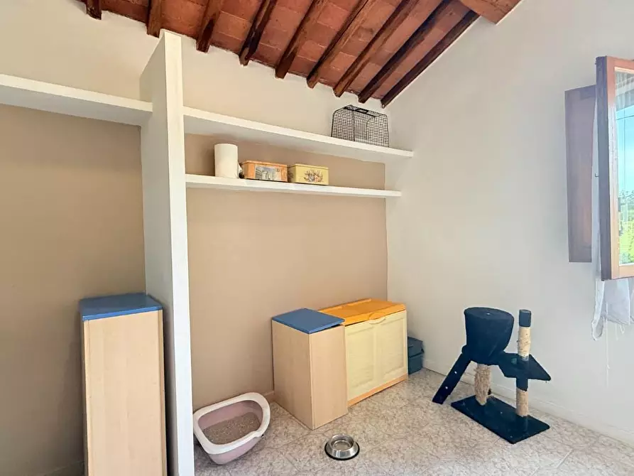 Immagine 17 di Terratetto in vendita  a Fucecchio