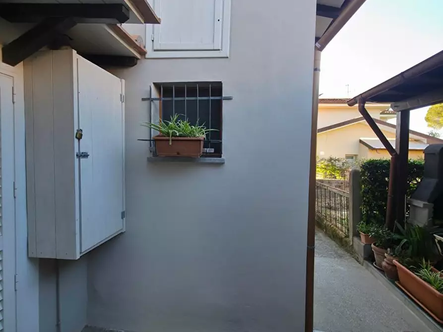Immagine 31 di Terratetto in vendita  a Lamporecchio