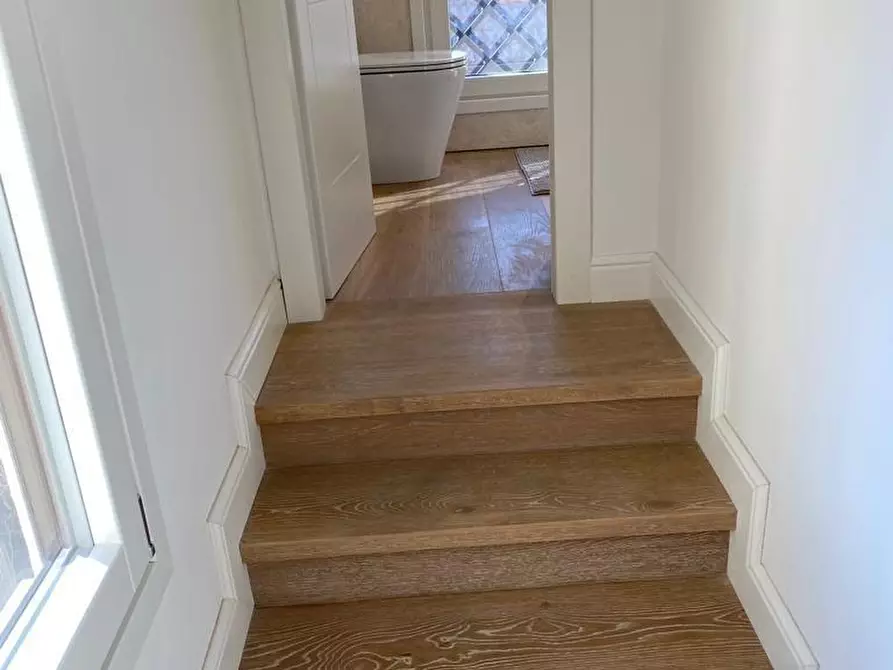 Immagine 11 di Villa in affitto  a Forte Dei Marmi