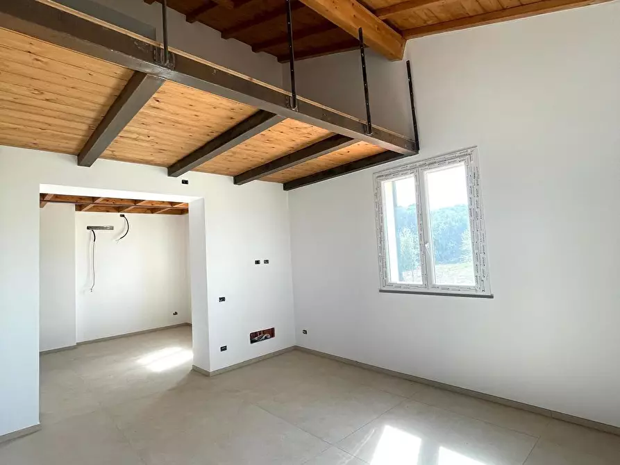 Immagine 14 di Appartamento in vendita  a Livorno