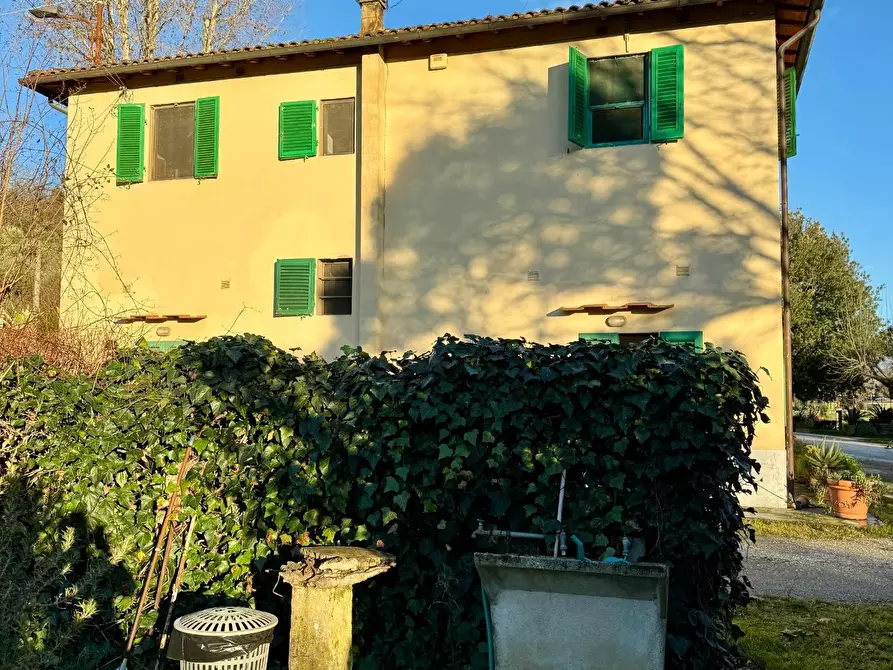 Immagine 1 di Terratetto in vendita  a Cerreto Guidi
