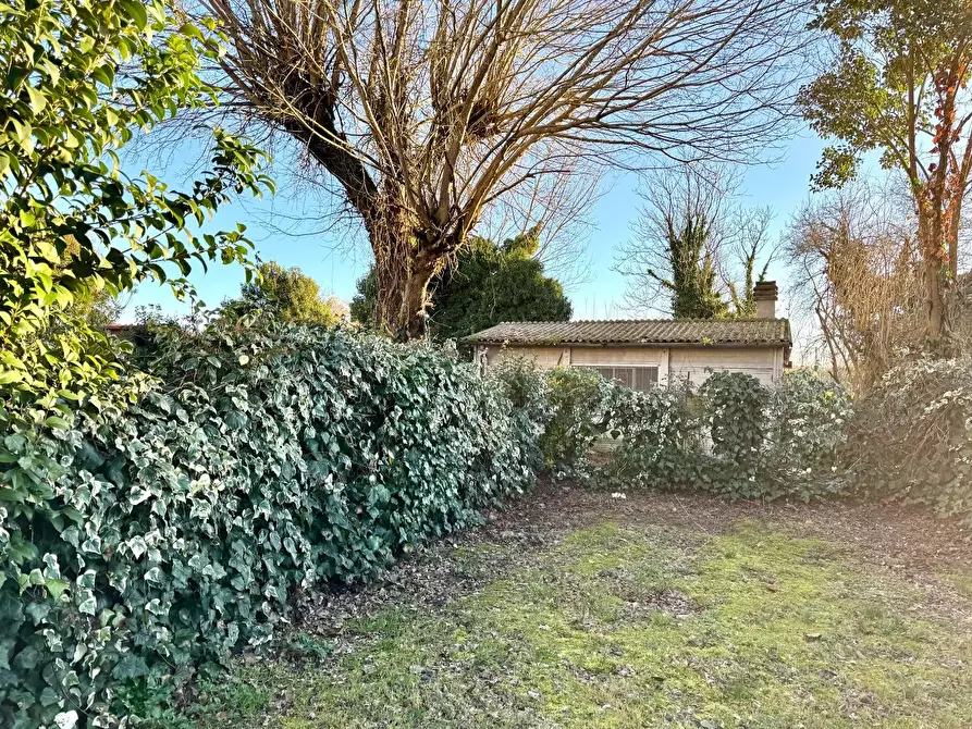 Immagine 4 di Terratetto in vendita  a Cerreto Guidi