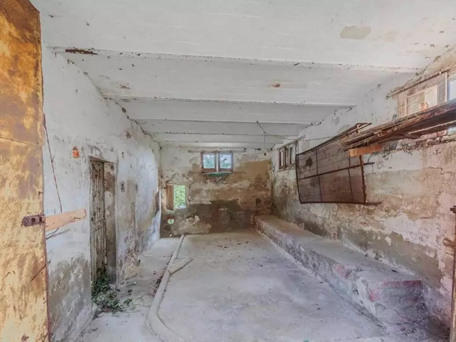 Immagine 1 di Rustico / casale in vendita  a Palaia