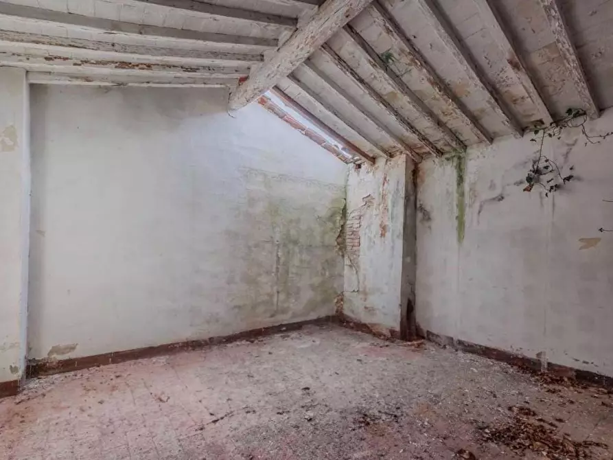 Immagine 4 di Rustico / casale in vendita  a Palaia