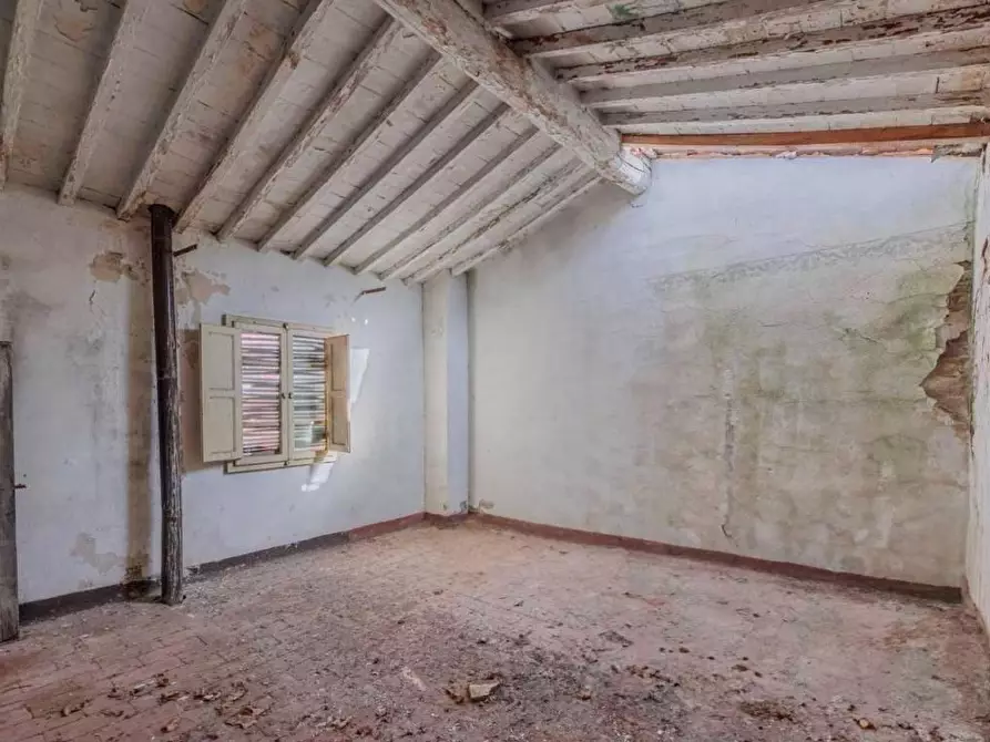 Immagine 3 di Rustico / casale in vendita  a Palaia