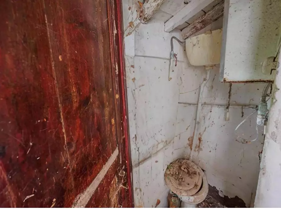 Immagine 6 di Rustico / casale in vendita  a Palaia