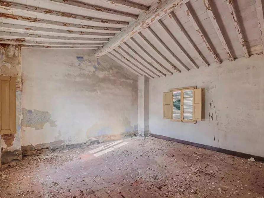 Immagine 5 di Rustico / casale in vendita  a Palaia