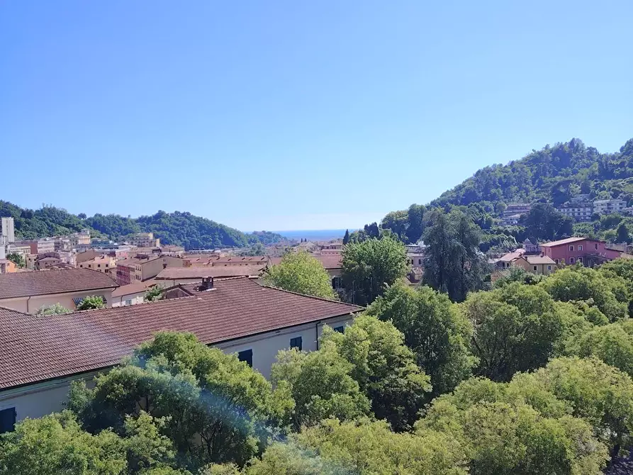 Immagine 18 di Appartamento in vendita  a Carrara
