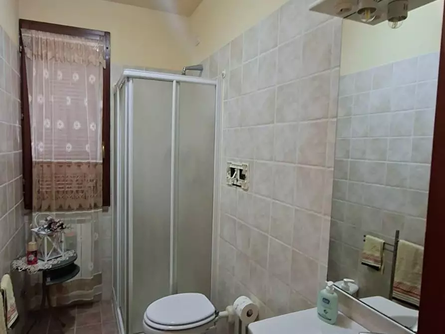 Immagine 14 di Appartamento in vendita  a Capannoli