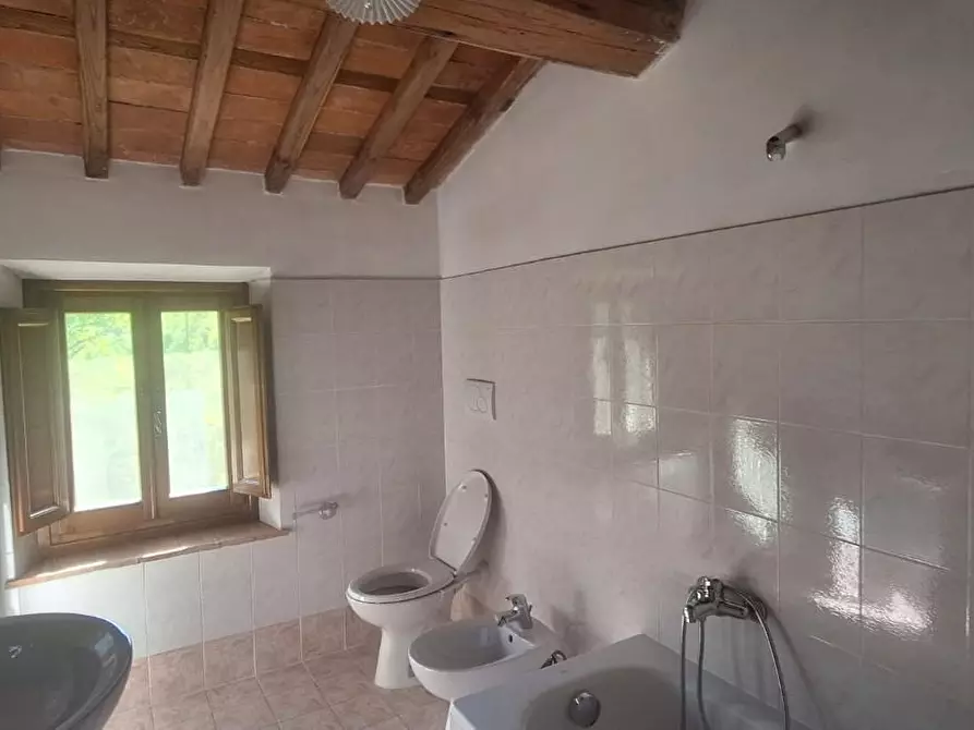 Immagine 12 di Rustico / casale in vendita  a Bagni Di Lucca