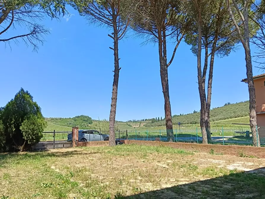 Immagine 3 di Casa indipendente in vendita  a Vinci
