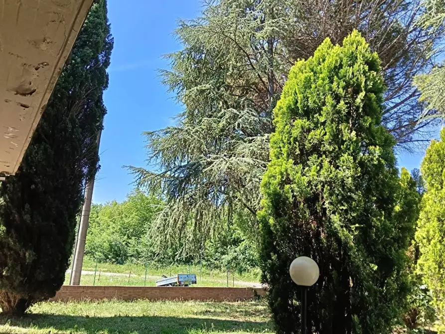 Immagine 48 di Casa indipendente in vendita  a Vinci