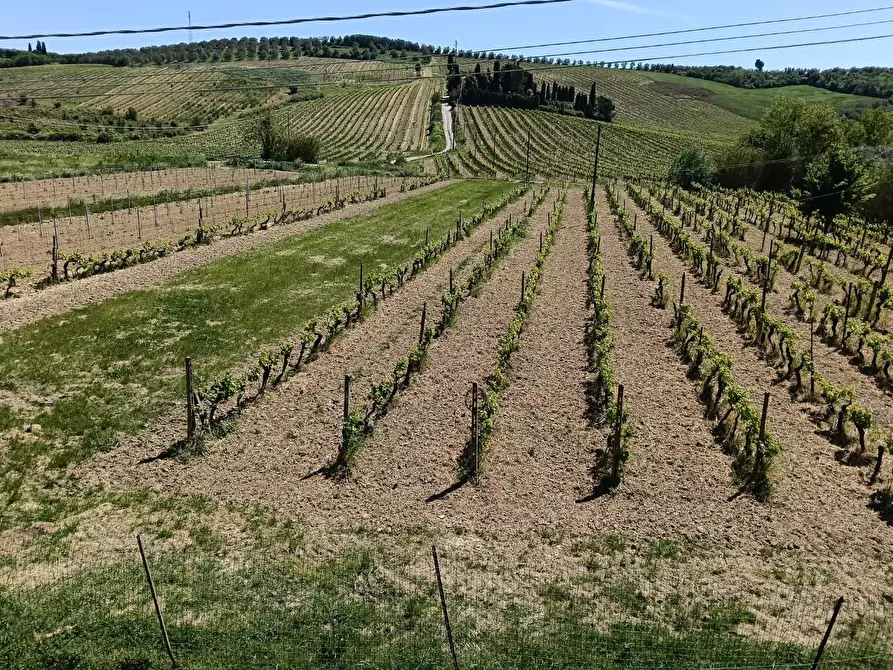 Immagine 5 di Casa indipendente in vendita  a Vinci