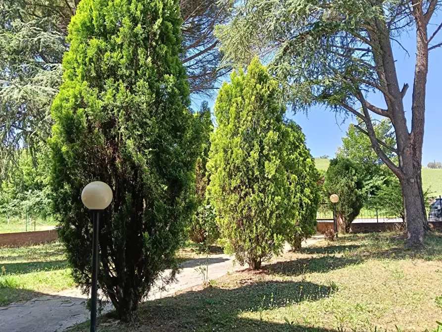 Immagine 46 di Casa indipendente in vendita  a Vinci