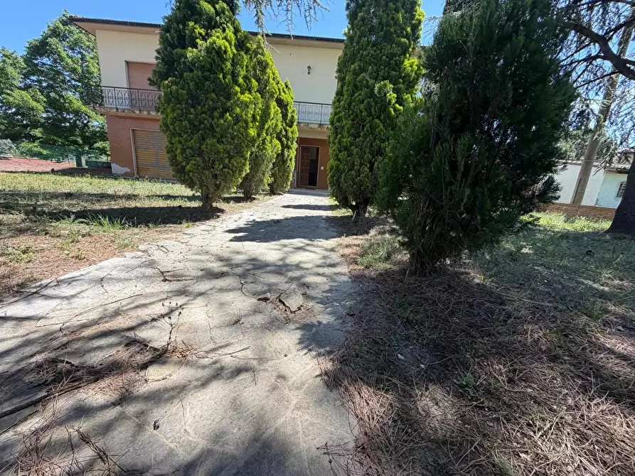 Immagine 14 di Casa indipendente in vendita  a Vinci