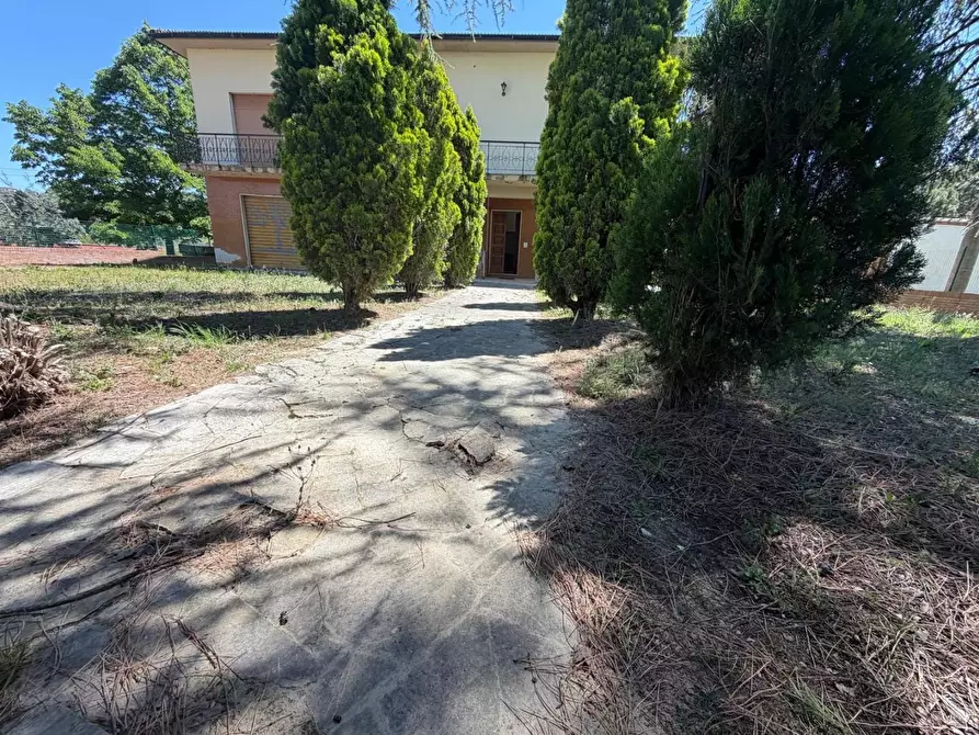 Immagine 21 di Casa indipendente in vendita  a Vinci