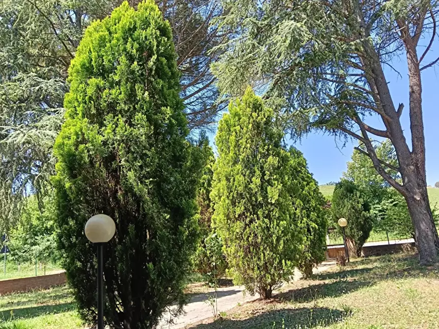 Immagine 47 di Casa indipendente in vendita  a Vinci