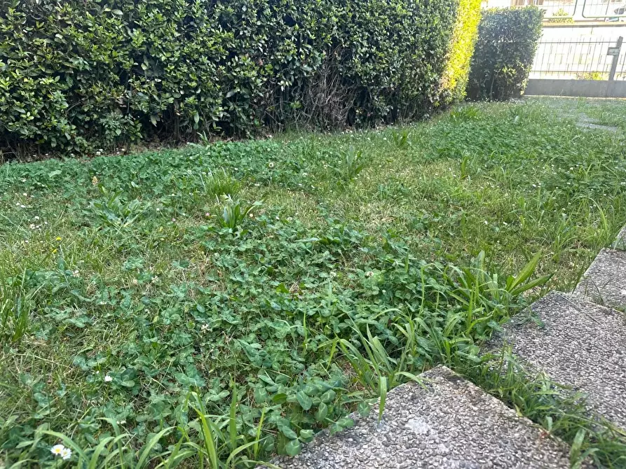 Immagine 13 di Terratetto in vendita  a Capraia E Limite