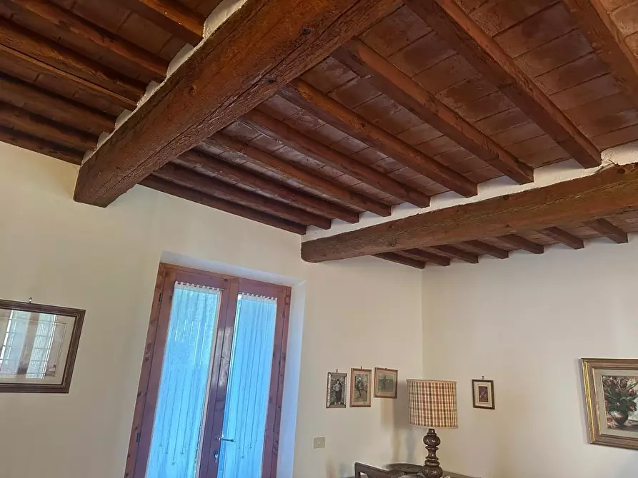 Immagine 5 di Terratetto in vendita  a Capraia E Limite