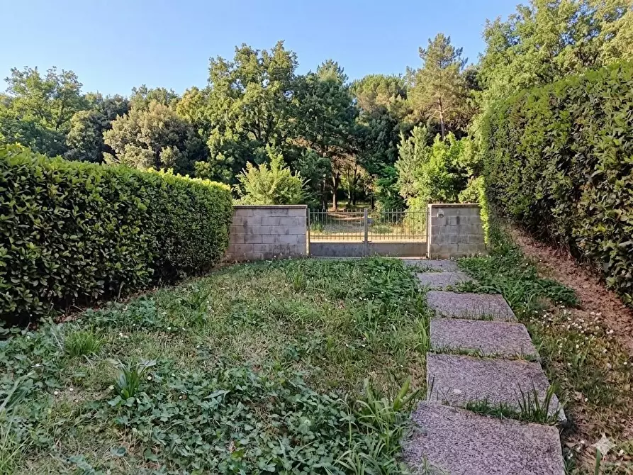 Immagine 1 di Terratetto in vendita  a Capraia E Limite