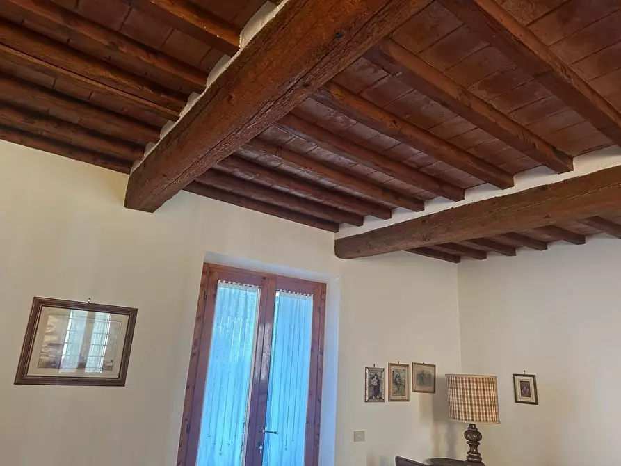 Immagine 6 di Terratetto in vendita  a Capraia E Limite