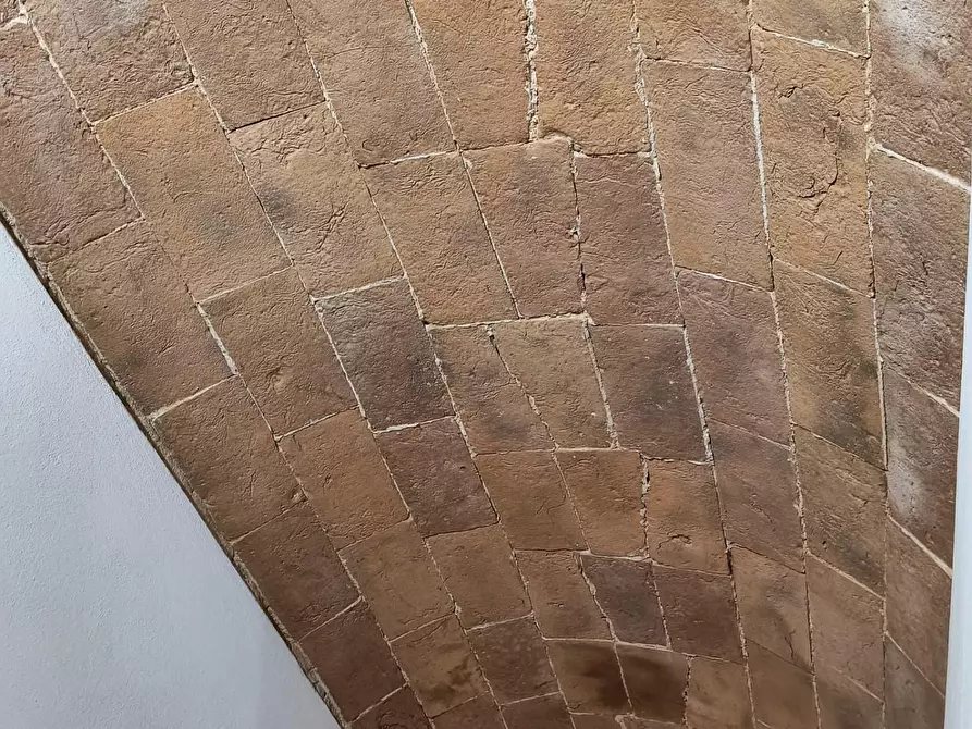 Immagine 22 di Terratetto in vendita  a Capraia E Limite