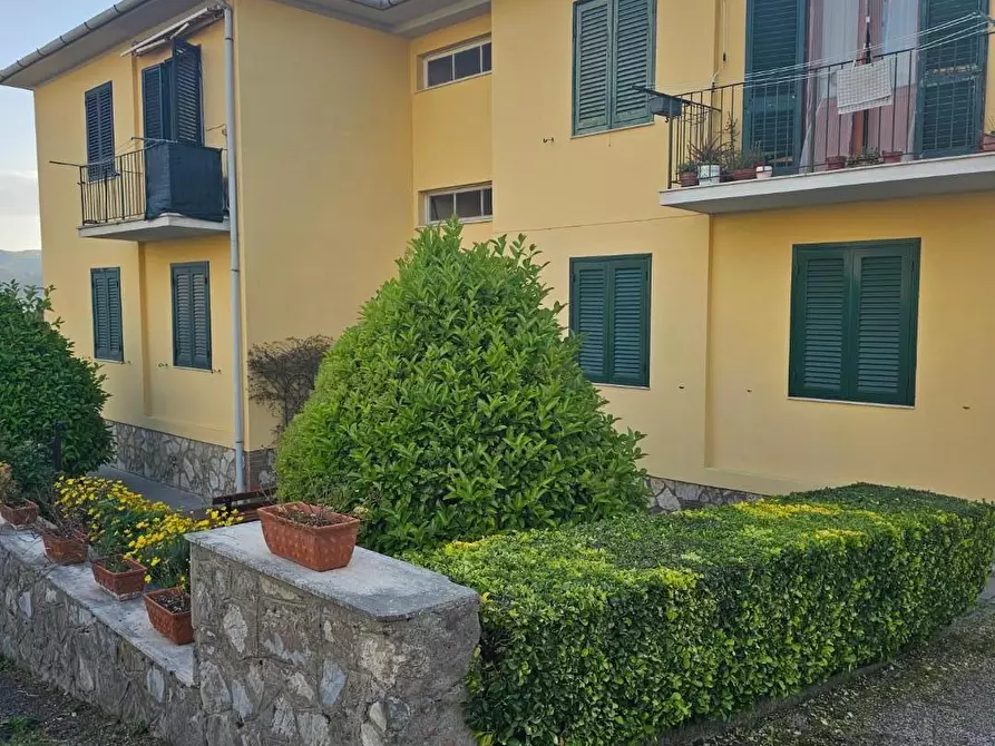 Immagine 33 di Appartamento in vendita  a Collesalvetti