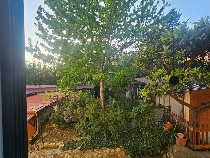 Immagine 1 di Appartamento in vendita  a Collesalvetti