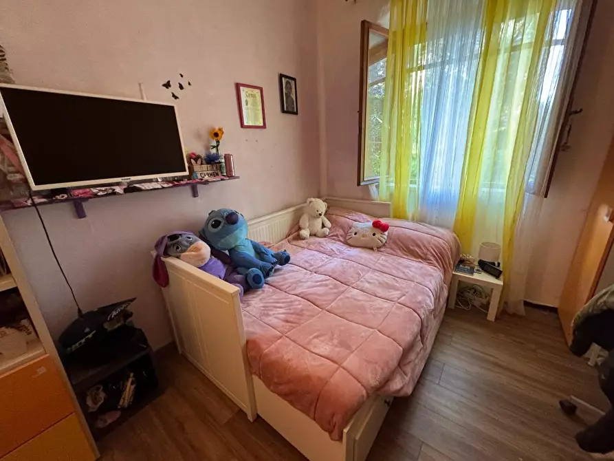 Immagine 41 di Casa indipendente in vendita  a Collesalvetti