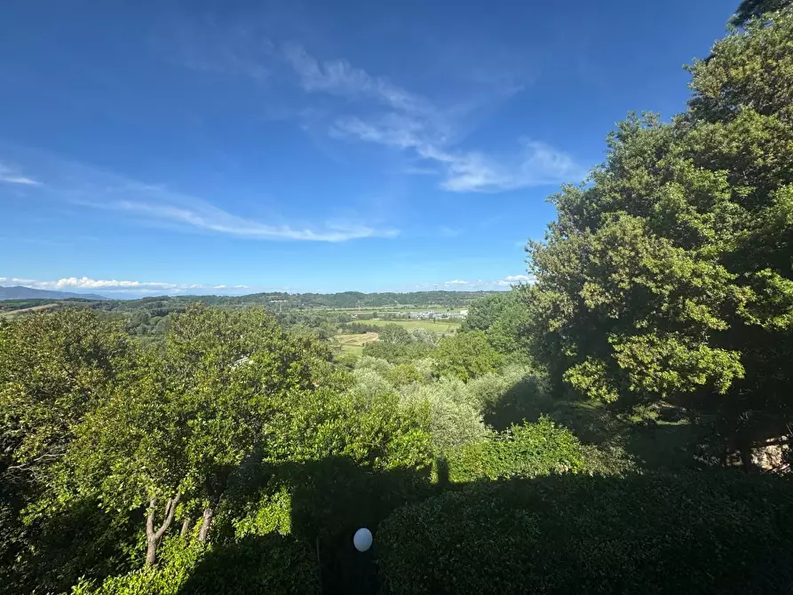 Immagine 34 di Casa indipendente in vendita  a Collesalvetti