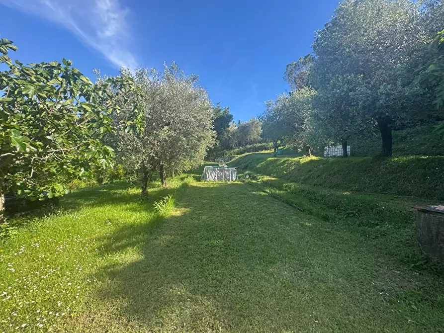 Immagine 13 di Casa indipendente in vendita  a Collesalvetti