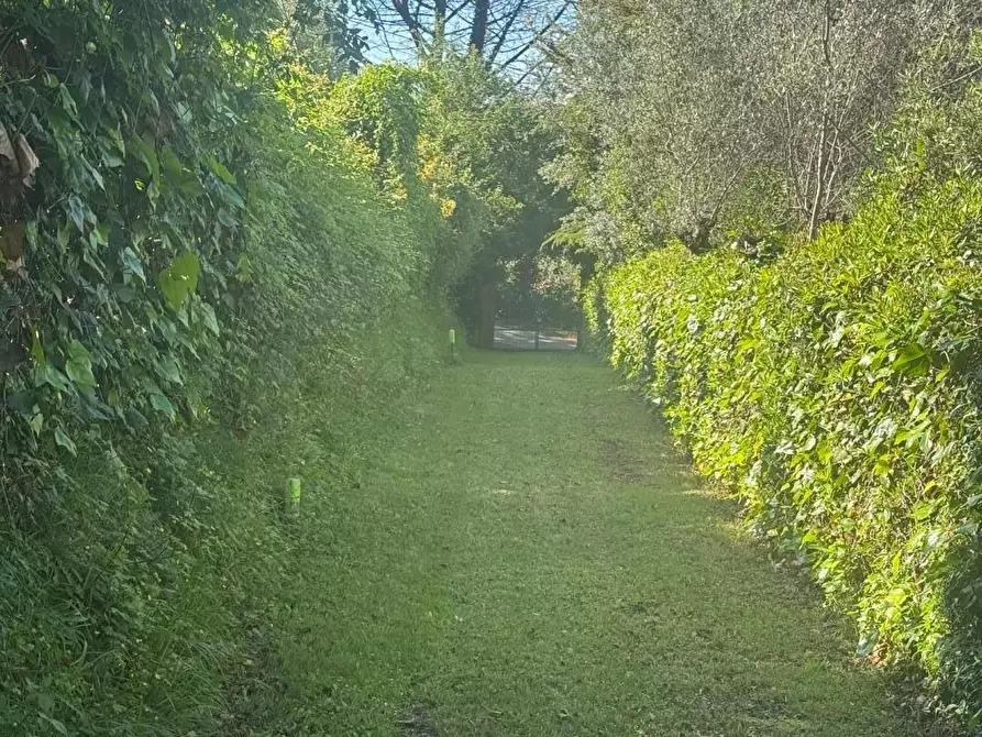 Immagine 9 di Casa indipendente in vendita  a Collesalvetti