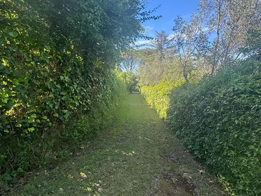 Immagine 8 di Casa indipendente in vendita  a Collesalvetti