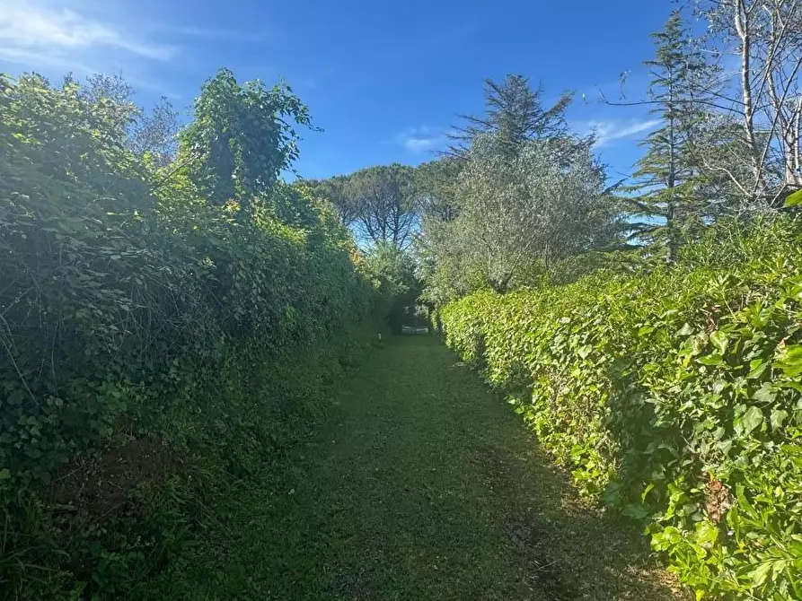 Immagine 11 di Casa indipendente in vendita  a Collesalvetti