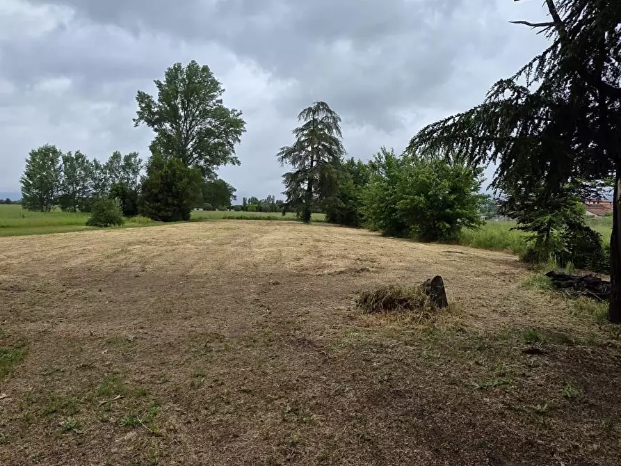 Immagine 12 di Terratetto in vendita  a Cerreto Guidi