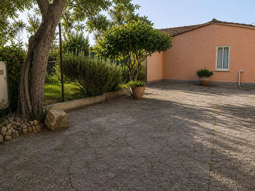 Immagine 2 di Terratetto in vendita  a San Giuliano Terme