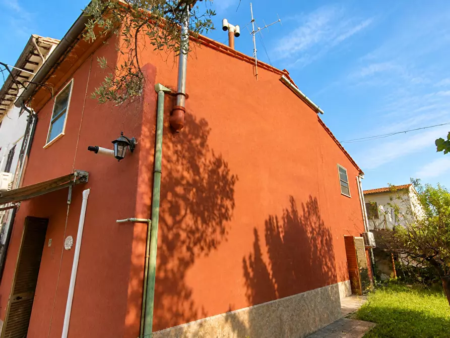 Immagine 3 di Terratetto in vendita  a San Giuliano Terme