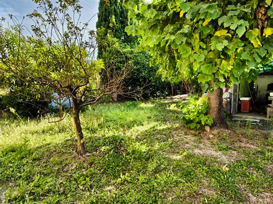 Immagine 12 di Terratetto in vendita  a San Giuliano Terme