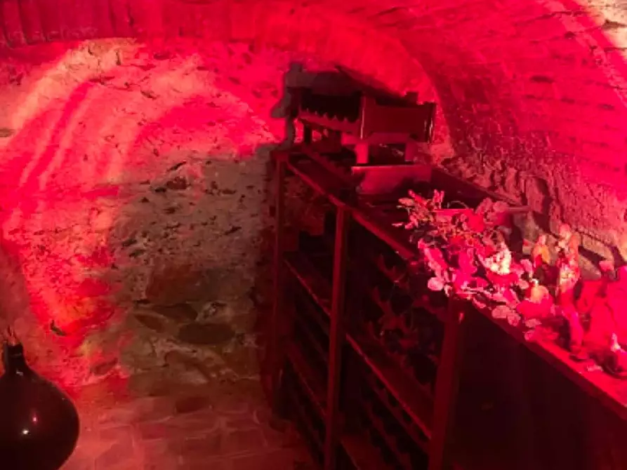 Immagine 4 di Terratetto in vendita  a Calci