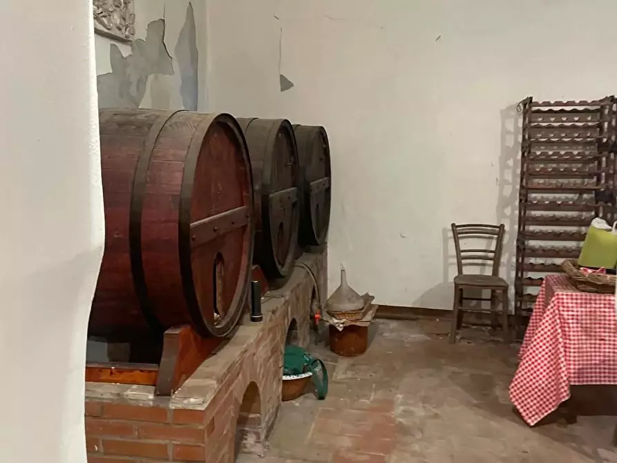Immagine 6 di Terratetto in vendita  a Calci