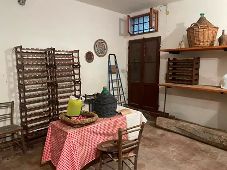 Immagine 7 di Terratetto in vendita  a Calci