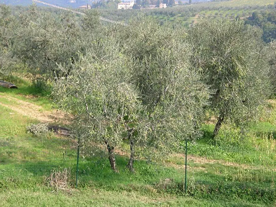 Immagine 2 di Terreno agricolo in vendita  a Empoli