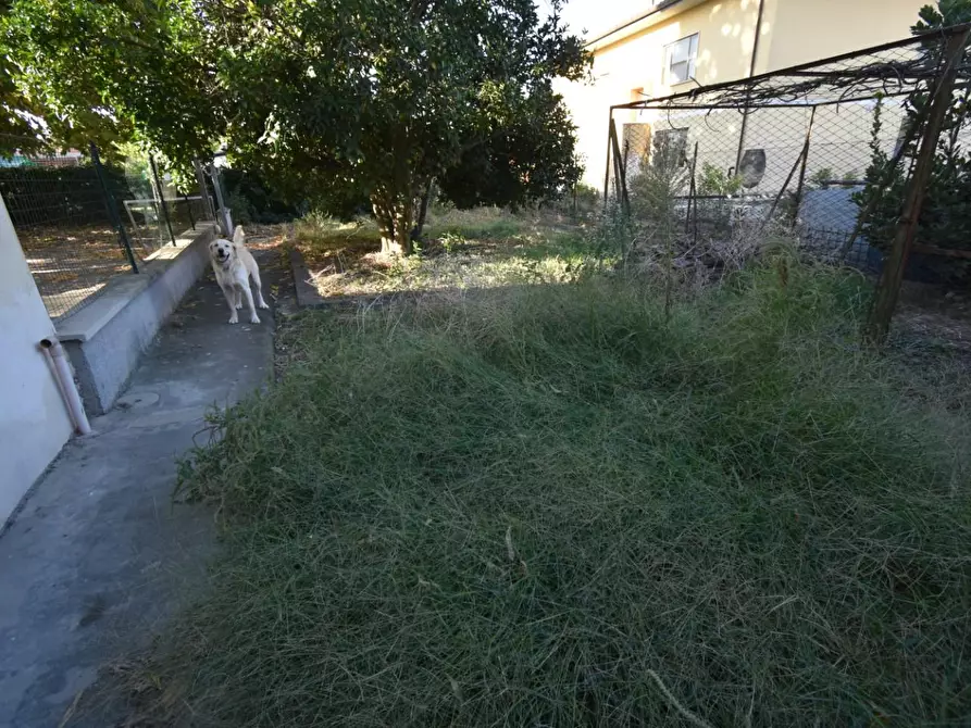 Immagine 19 di Villa in vendita  a San Giuliano Terme