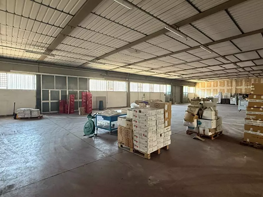 Immagine 3 di Capannone industriale in affitto  a Monsummano Terme