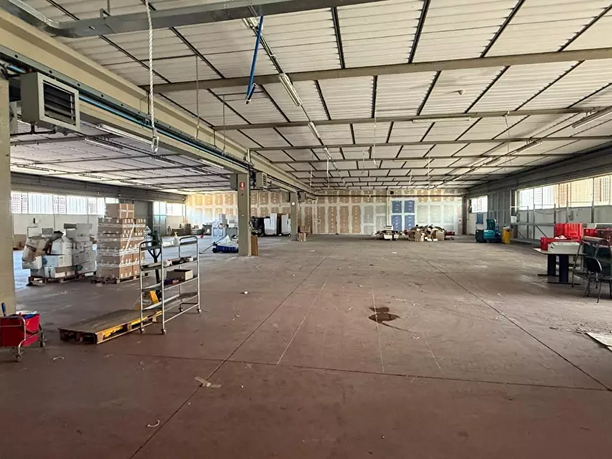 Immagine 2 di Capannone industriale in affitto  a Monsummano Terme