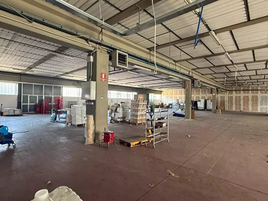 Immagine 1 di Capannone industriale in affitto  a Monsummano Terme