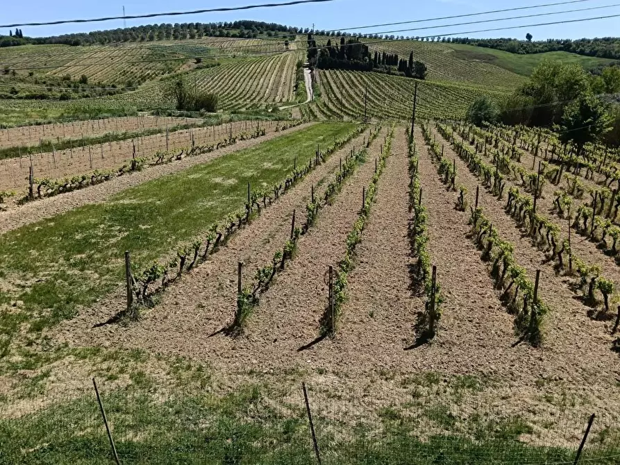 Immagine 32 di Villa in vendita  a Vinci