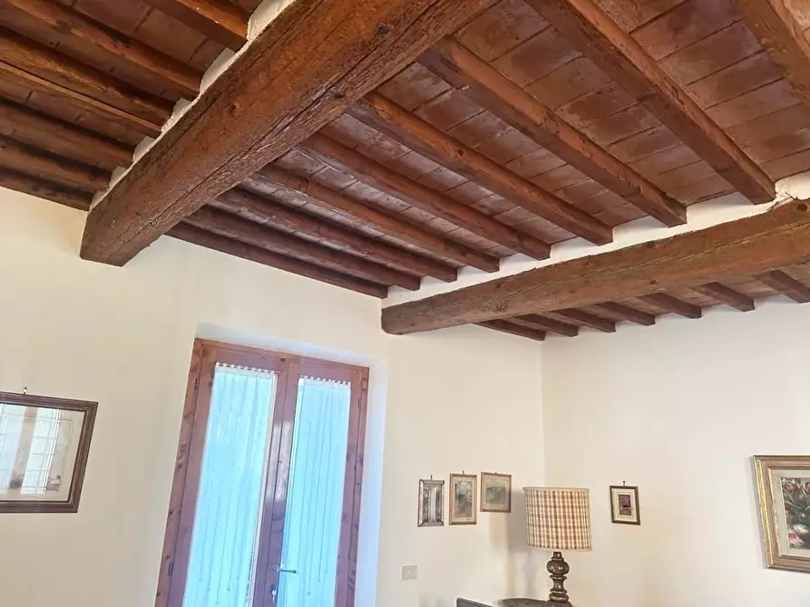 Immagine 18 di Terratetto in vendita  a Capraia E Limite